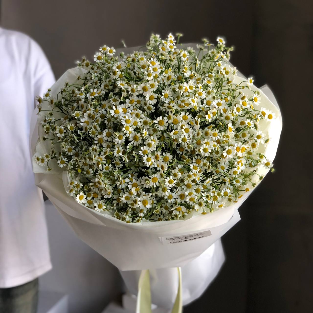 Ромашковое поле